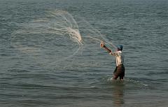 India_JanFeb_10_Cochin_7235