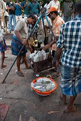 India_JanFeb_10_Cochin_7248