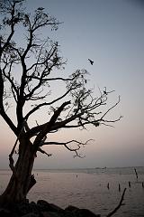 India_JanFeb_10_Cochin_7441