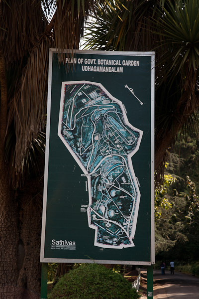 India_JanFeb_10_Coonor_8024.jpg - Garden Plan