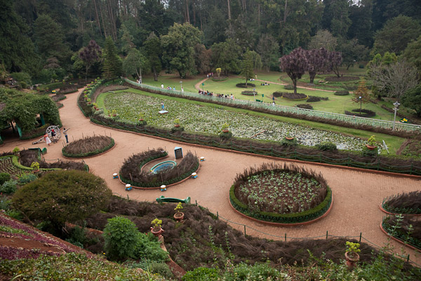 India_JanFeb_10_Coonor_8186.jpg - Italian Garden within the botanic garden