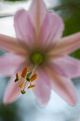 India_JanFeb_10_Coonor_8140