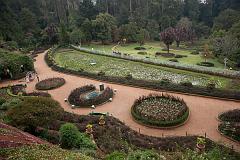 India_JanFeb_10_Coonor_8186