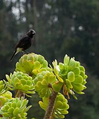 India_JanFeb_10_Coonor_8201