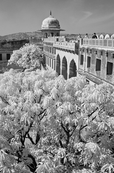 India_JanFeb_10_Infrared_1528.jpg - Infrared photo in courtyard of Jaigarh Fort