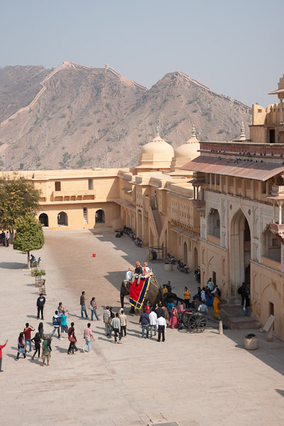 India_JanFeb_10_Jaipur_5239.jpg - Elephant entering the courtyard of Amber Fort