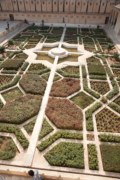 India_JanFeb_10_Jaipur_5289.jpg - Garden in Amber Fort