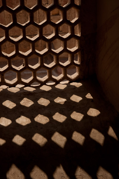 India_JanFeb_10_Jaipur_5352.jpg - Lattice in Amber Fort