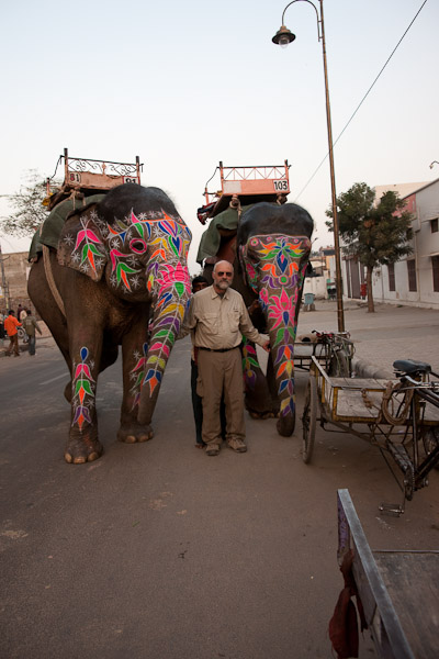 India_JanFeb_10_Jaipur_5436.jpg - Me with a pair of elephants