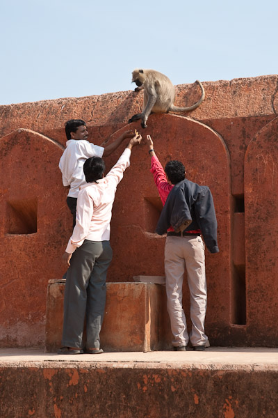 India_JanFeb_10_Jaipur_5477.jpg - Feeding monkey at Jaigarh Fort