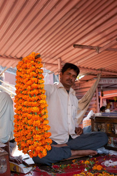 India_Jan_Feb_10_Jaipur_4898.jpg - Flower seller with marigold garlands