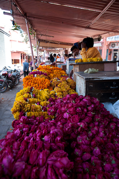 India_Jan_Feb_10_Jaipur_4904.jpg - Flower sellers