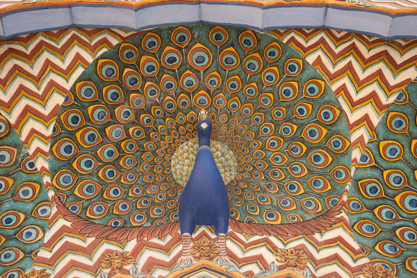 India_Jan_Feb_10_Jaipur_5060.jpg - Peacock