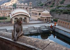 India_JanFeb_10_Jaipur_5142