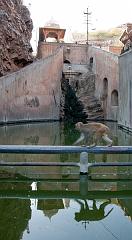 India_JanFeb_10_Jaipur_5151