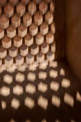 India_JanFeb_10_Jaipur_5351