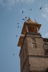 India_JanFeb_10_Jaipur_5378