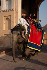 India_JanFeb_10_Jaipur_5406