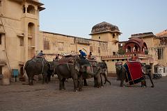India_JanFeb_10_Jaipur_5423