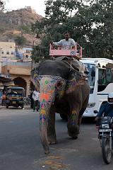 India_JanFeb_10_Jaipur_5427