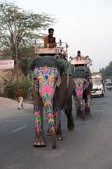 India_JanFeb_10_Jaipur_5430