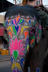 India_JanFeb_10_Jaipur_5431