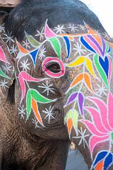 India_JanFeb_10_Jaipur_5432