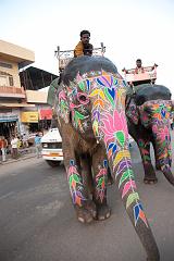 India_JanFeb_10_Jaipur_5433