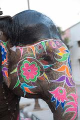 India_JanFeb_10_Jaipur_5434