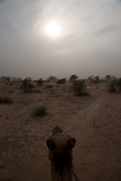 India_JanFeb_10_Jaisalmer_6612.jpg
