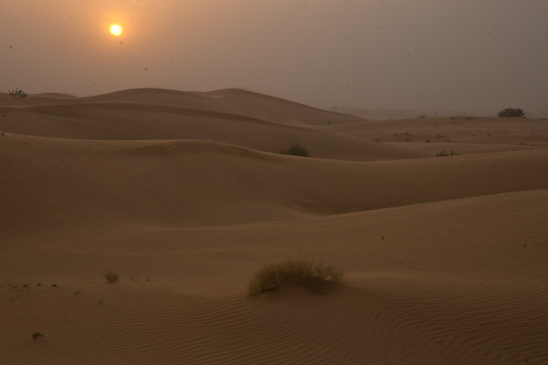 India_JanFeb_10_Jaisalmer_6714.jpg