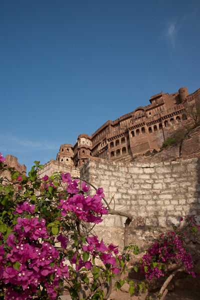 India_JanFeb_10_Jodhpur_6474.jpg - Jodhpur Meharangarh Fort