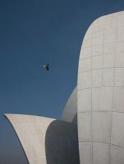 India_JanFeb_10_New_Delhi_8827