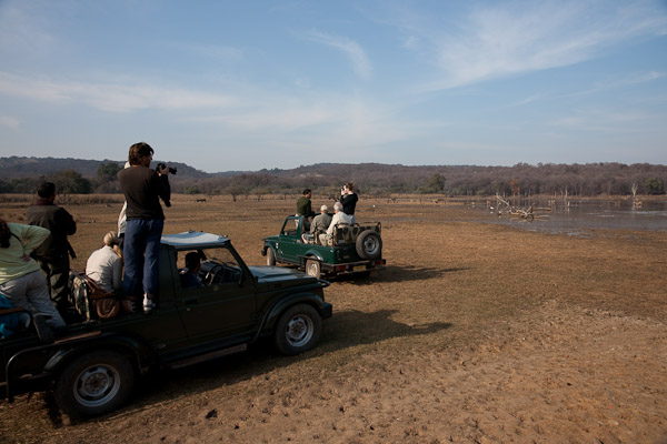 Sawai_Madhopur_4664.jpg - Tiger hunters at a lake.  Vehicles were these jeeps and open 25 passenger buses.