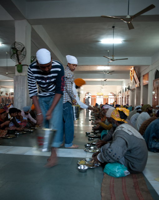 _DSC1763.jpg - SONY DSC