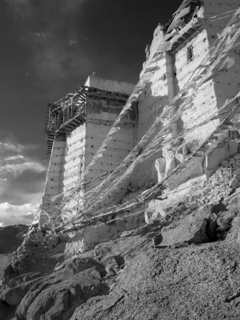 IMG_1376.jpg - Infrared photo