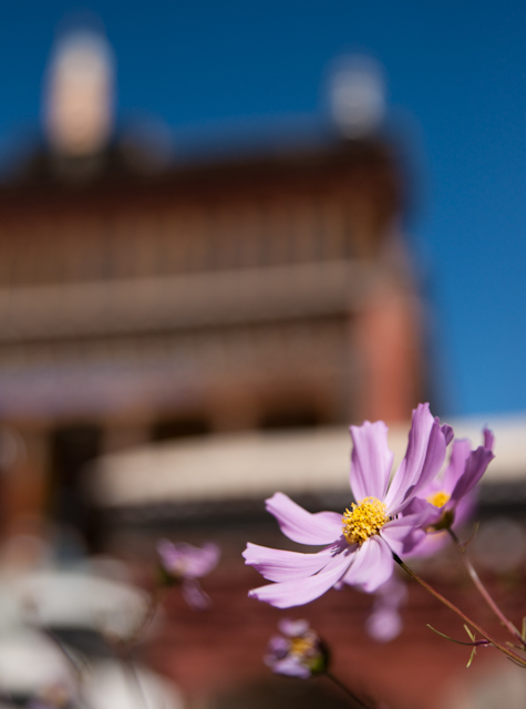 _DSC9938.jpg - SONY DSC