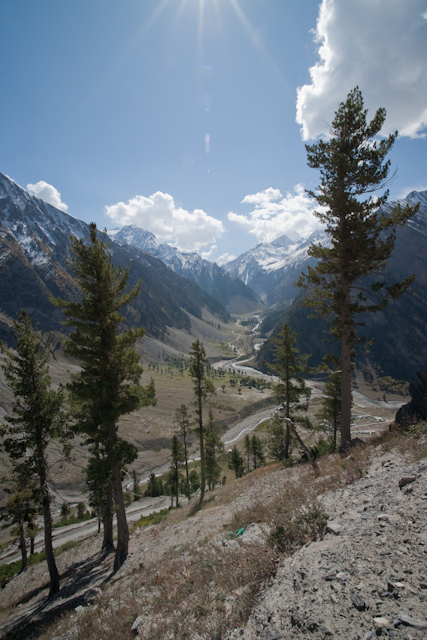 _DSC9645.jpg - SONY DSC