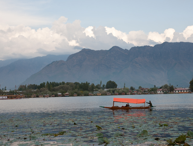 _DSC9336.jpg - SONY DSC