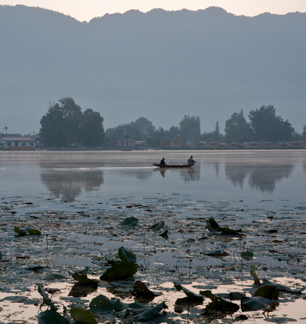 _DSC9357.jpg - SONY DSC