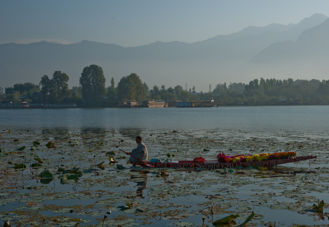 _DSC9370.jpg - The morning flower seller