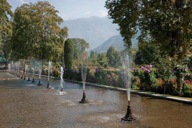 _DSC9403.jpg - Moghul Garden