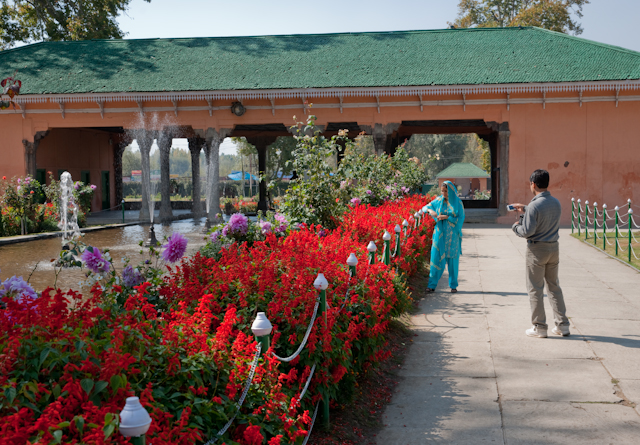 _DSC9404.jpg - Moghul Garden