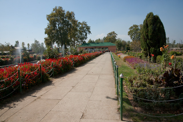 _DSC9409.jpg - Moghul Garden