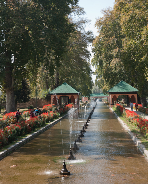 _DSC9417.jpg - Moghul Garden