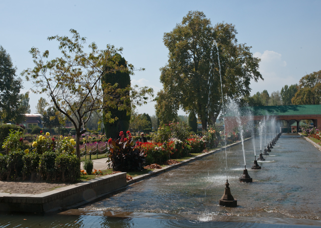_DSC9432.jpg - Moghul Garden