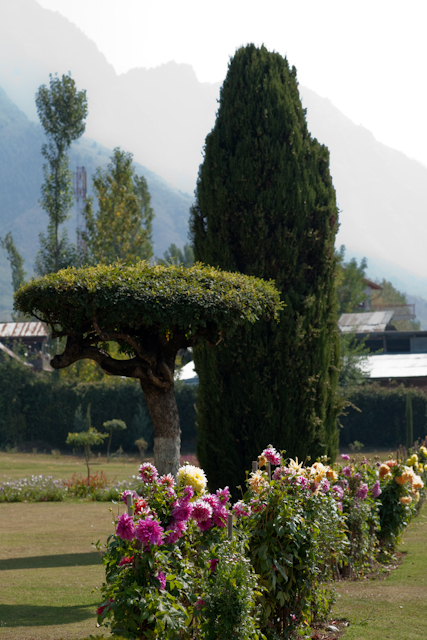 _DSC9436.jpg - Moghul Garden