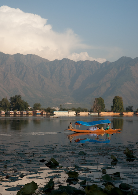 _DSC9562.jpg - SONY DSC