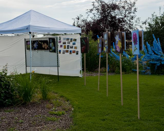 _DSC7717.jpg - SONY DSC