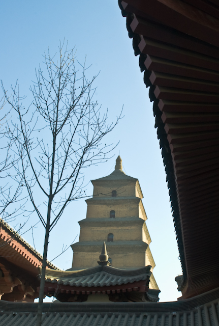 China_Feb_04_1261.jpg - Big Goose Pagoda, Xian, China 20x24 framed